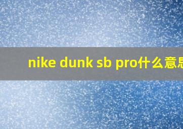 nike dunk sb pro什么意思